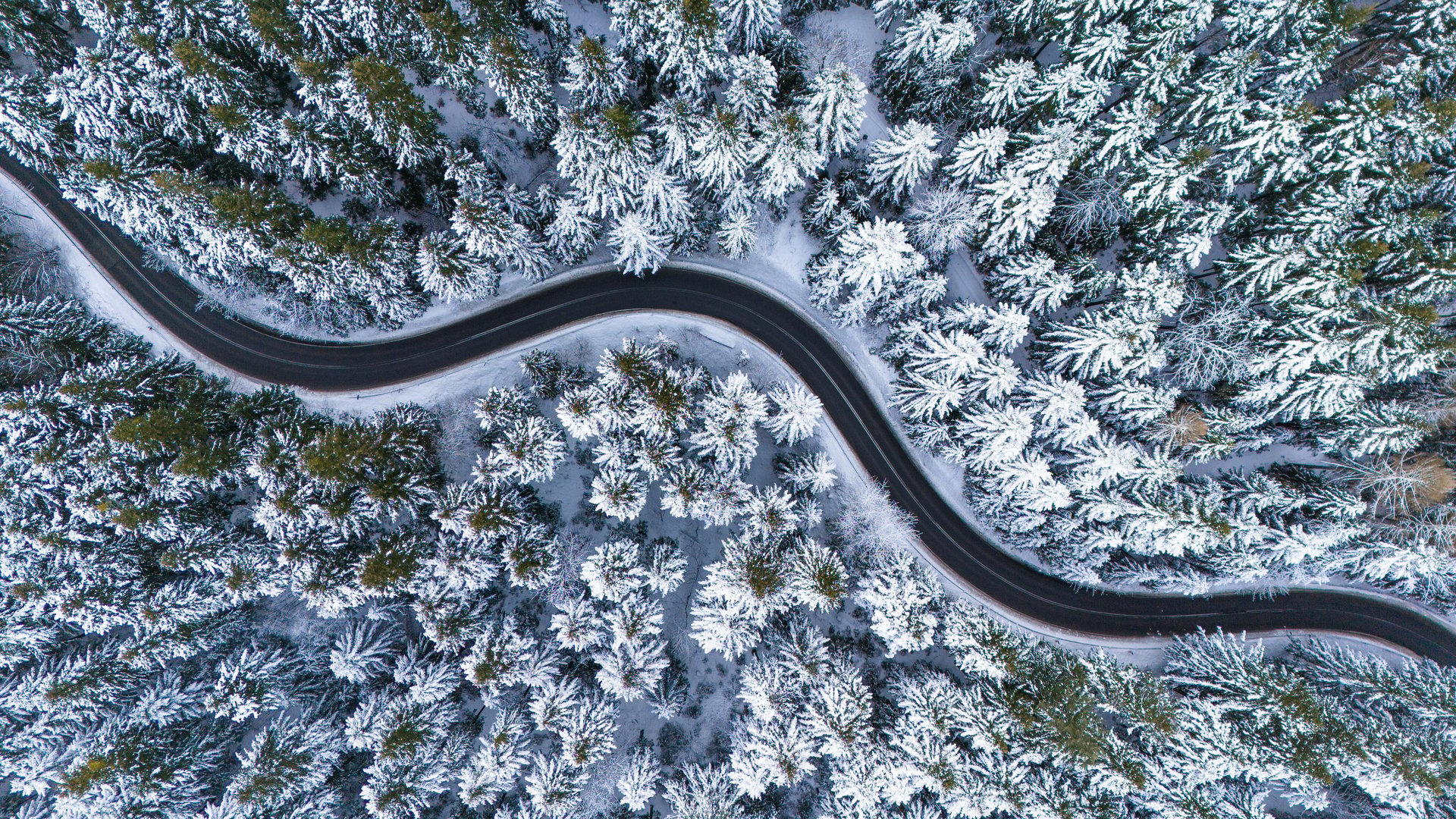 Mountain road through Romanian Carpathians