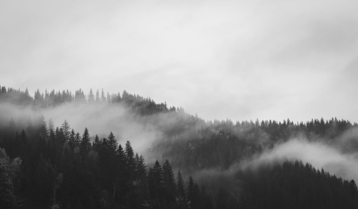 Fog in autumn Carpathian mountains