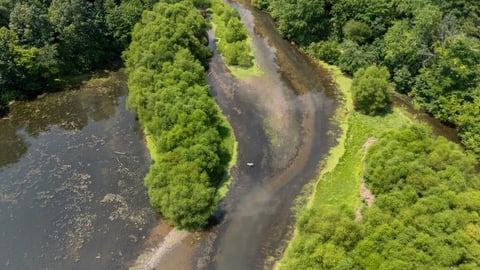 Aerial perspective of a narrow shallow river meandering through dense green trees and vegetation