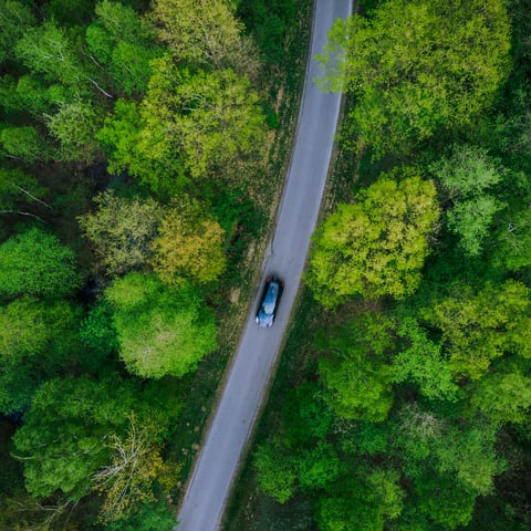 Aerial view of car driving on forest road