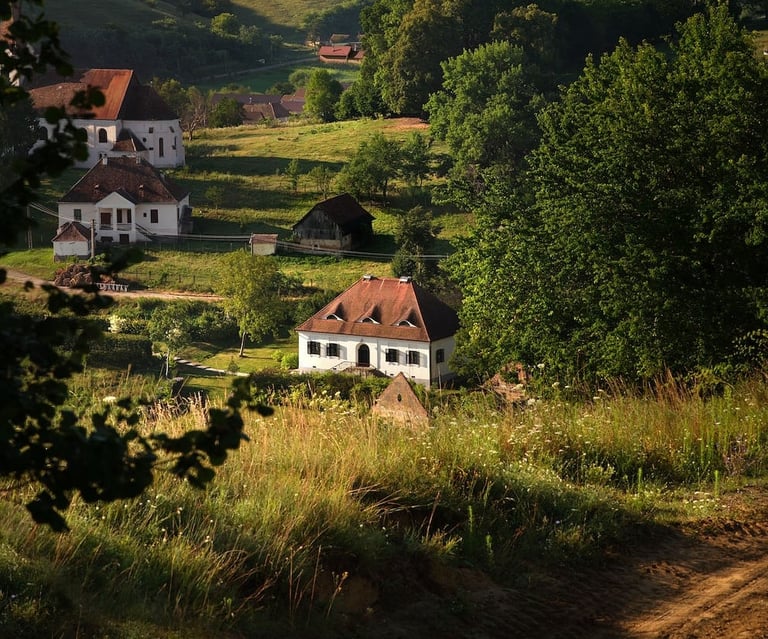 Rural countryside landscape with traditional houses featuring terracotta roofs nestled among green hills and trees