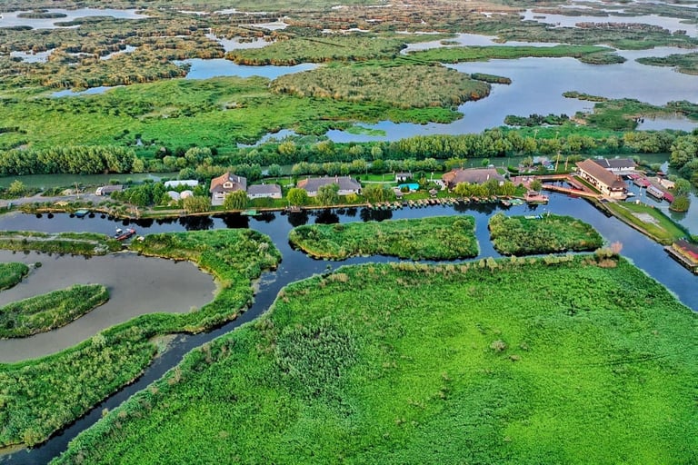 Aerial view of a coastal wetland area with winding waterways, green marshland, and residential structures along the shoreline