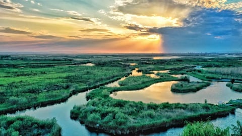 Aerial view of winding waterways through green wetlands at sunset with golden and blue sky