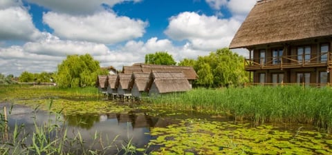 Traditional buildings reflected in calm wetland pond