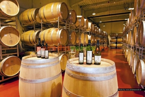 Wine cellar with wooden barrels stacked on racks and bottles displayed on large oak casks with red floor.