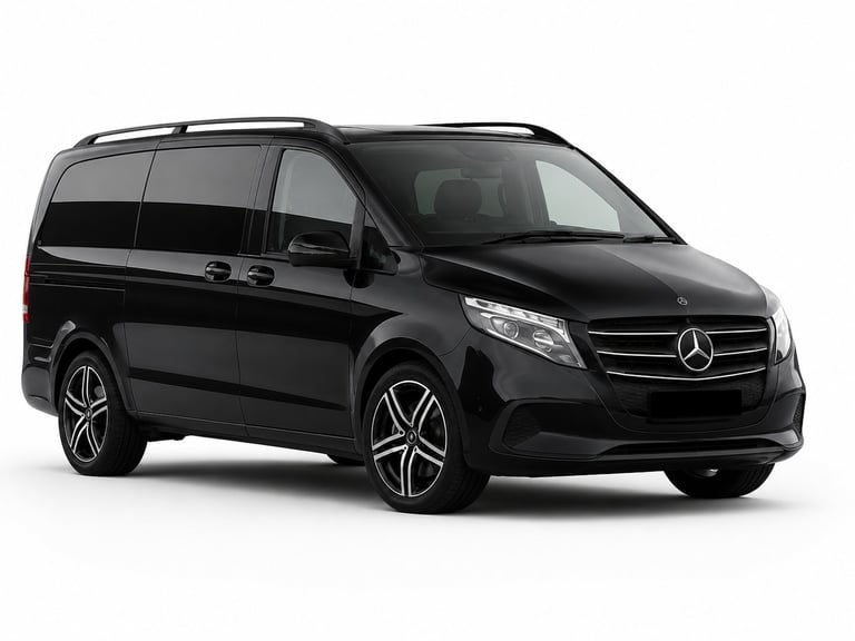 Black Mercedes-Benz minivan with tinted windows shown from the side angle against a white background
