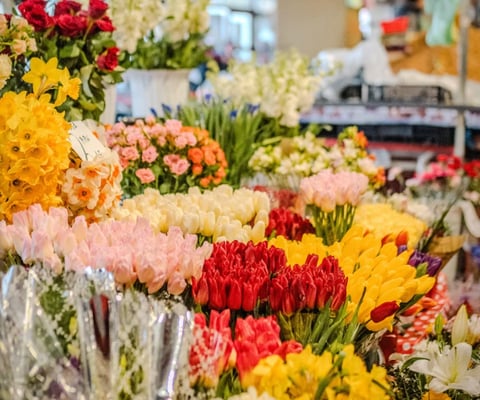 Colorful bouquets of fresh flowers at a florist shop, including red, yellow, pink, and orange varieties displayed closely together