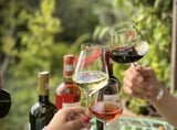 Group of people holding wine glasses with red, white, and rosé wines in a vineyard setting with green foliage in the background
