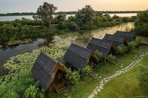 Row of thatched-roof glamping huts beside a water lily-covered pond with trees and wetland landscape