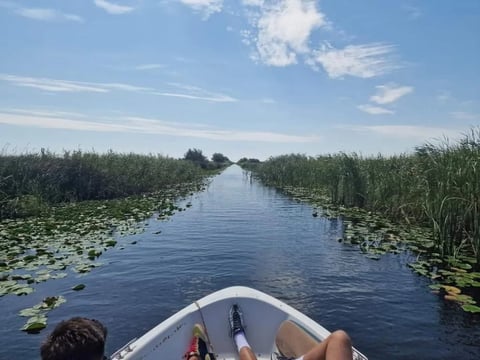 A boat navigating through a narrow waterway lined with aquatic vegetation and reeds under a blue sky with white clouds